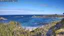 ./images/calvert/foggy-cove/20260617/foggy-cove20260617_093501M.jpg