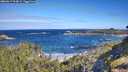 ./images/calvert/foggy-cove/20260617/foggy-cove20260617_094001M.jpg