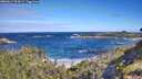 ./images/calvert/foggy-cove/20260617/foggy-cove20260617_094501M.jpg