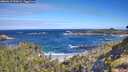./images/calvert/foggy-cove/20260617/foggy-cove20260617_095001M.jpg