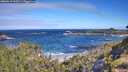 ./images/calvert/foggy-cove/20260617/foggy-cove20260617_095501M.jpg
