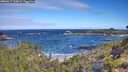 ./images/calvert/foggy-cove/20260617/foggy-cove20260617_100001M.jpg