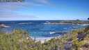 ./images/calvert/foggy-cove/20260617/foggy-cove20260617_100501M.jpg
