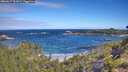 ./images/calvert/foggy-cove/20260617/foggy-cove20260617_101001M.jpg