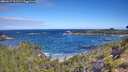 ./images/calvert/foggy-cove/20260617/foggy-cove20260617_101501M.jpg