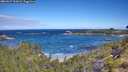 ./images/calvert/foggy-cove/20260617/foggy-cove20260617_102001M.jpg