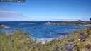 ./images/calvert/foggy-cove/20260617/foggy-cove20260617_102501M.jpg