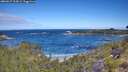 ./images/calvert/foggy-cove/20260617/foggy-cove20260617_103001M.jpg