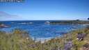 ./images/calvert/foggy-cove/20260617/foggy-cove20260617_104001M.jpg