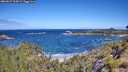 ./images/calvert/foggy-cove/20260617/foggy-cove20260617_104501M.jpg