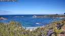 ./images/calvert/foggy-cove/20260617/foggy-cove20260617_105001M.jpg