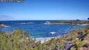 ./images/calvert/foggy-cove/20260617/foggy-cove20260617_105501M.jpg