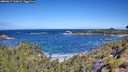 ./images/calvert/foggy-cove/20260617/foggy-cove20260617_110001M.jpg