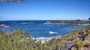 ./images/calvert/foggy-cove/20260617/foggy-cove20260617_110501M.jpg