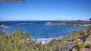 ./images/calvert/foggy-cove/20260617/foggy-cove20260617_111001M.jpg