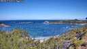 ./images/calvert/foggy-cove/20260617/foggy-cove20260617_111501M.jpg