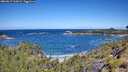 ./images/calvert/foggy-cove/20260617/foggy-cove20260617_112002M.jpg