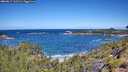 ./images/calvert/foggy-cove/20260617/foggy-cove20260617_112501M.jpg
