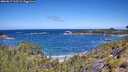 ./images/calvert/foggy-cove/20260617/foggy-cove20260617_113501M.jpg