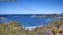 ./images/calvert/foggy-cove/20260617/foggy-cove20260617_114001M.jpg