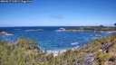 ./images/calvert/foggy-cove/20260617/foggy-cove20260617_114501M.jpg