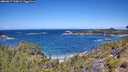 ./images/calvert/foggy-cove/20260617/foggy-cove20260617_120001M.jpg