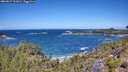 ./images/calvert/foggy-cove/20260617/foggy-cove20260617_121001M.jpg