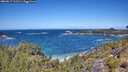 ./images/calvert/foggy-cove/20260617/foggy-cove20260617_121501M.jpg