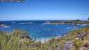 ./images/calvert/foggy-cove/20260617/foggy-cove20260617_122001M.jpg