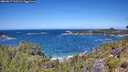 ./images/calvert/foggy-cove/20260617/foggy-cove20260617_122501M.jpg