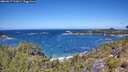 ./images/calvert/foggy-cove/20260617/foggy-cove20260617_123001M.jpg