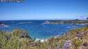 ./images/calvert/foggy-cove/20260617/foggy-cove20260617_125501M.jpg