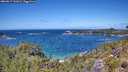 ./images/calvert/foggy-cove/20260617/foggy-cove20260617_131001M.jpg