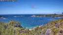 ./images/calvert/foggy-cove/20260617/foggy-cove20260617_131501M.jpg