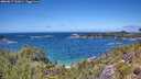 ./images/calvert/foggy-cove/20260617/foggy-cove20260617_132001M.jpg