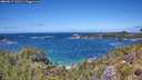 ./images/calvert/foggy-cove/20260617/foggy-cove20260617_132501M.jpg
