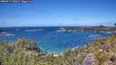 ./images/calvert/foggy-cove/20260617/foggy-cove20260617_133001M.jpg