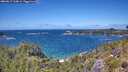 ./images/calvert/foggy-cove/20260617/foggy-cove20260617_134001M.jpg