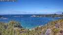./images/calvert/foggy-cove/20260617/foggy-cove20260617_134501M.jpg