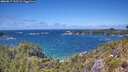 ./images/calvert/foggy-cove/20260617/foggy-cove20260617_135501M.jpg