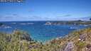 ./images/calvert/foggy-cove/20260617/foggy-cove20260617_140501M.jpg