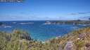 ./images/calvert/foggy-cove/20260617/foggy-cove20260617_141001M.jpg