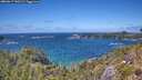 ./images/calvert/foggy-cove/20260617/foggy-cove20260617_141501M.jpg