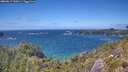 ./images/calvert/foggy-cove/20260617/foggy-cove20260617_145001M.jpg