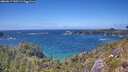 ./images/calvert/foggy-cove/20260617/foggy-cove20260617_145501M.jpg