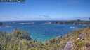 ./images/calvert/foggy-cove/20260617/foggy-cove20260617_151001M.jpg