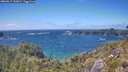 ./images/calvert/foggy-cove/20260617/foggy-cove20260617_152001M.jpg