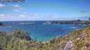 ./images/calvert/foggy-cove/20260617/foggy-cove20260617_153002M.jpg