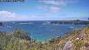 ./images/calvert/foggy-cove/20260617/foggy-cove20260617_154001M.jpg