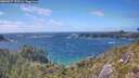./images/calvert/foggy-cove/20260617/foggy-cove20260617_155501M.jpg